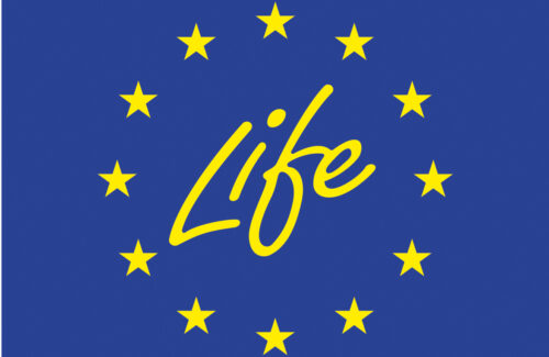 LIFE logo